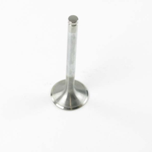 Weichai/Steyr inlet valve