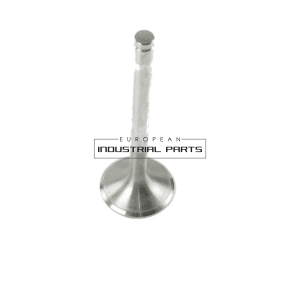 Inlet Valve