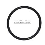 O-ring